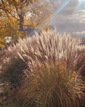 Apartment Sea Apartment On Constance Lake *